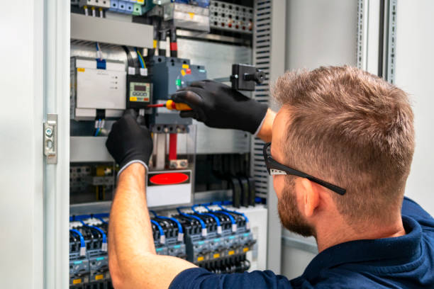Best Electrical System Inspection  in Mercedes, TX