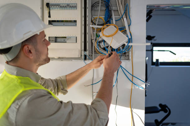 Best Electric Panel Repair  in Mercedes, TX